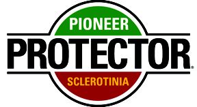 Pioneer protector sclerotinia